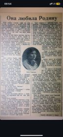 газета