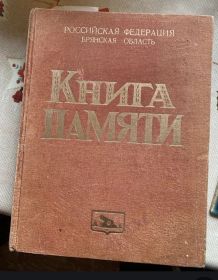 Книга Памяти по Брянской области, том 6
