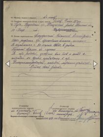Документ партизана
