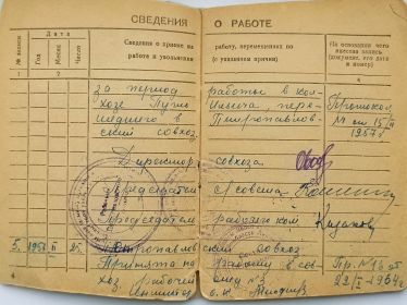 Трудовая книжка
