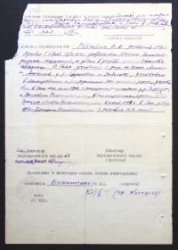 Боевая характеристика партизана