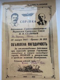 Благодарность 29011945