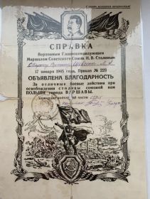 Благодарность 17011945