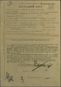 Наградной лист на орден "ОТЕЧЕСТВЕННОЙ ВОЙНЫ" 2 СТЕПЕНИ.
