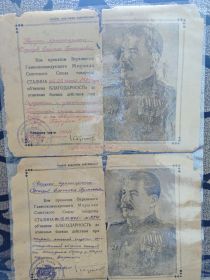 Благодарность
