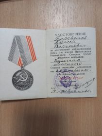 Звание «Ветеран труда»