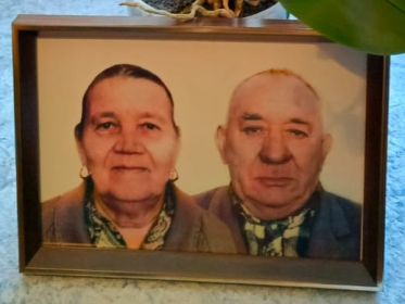 Сания