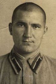 Лев