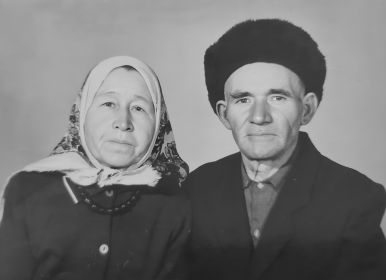 Минижиган