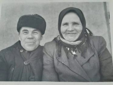 Степанида