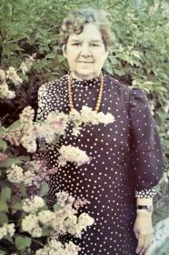 Роза