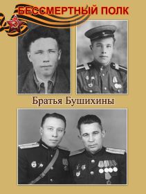 семья солдата братья Бушихины: Николай, Рикс, Василий.