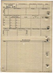 Лагерь	шталаг IX B	 Судьба	Погиб в плену	 Воинское звание	красноармеец|рядовой	 Дата смерти	23.11.1941