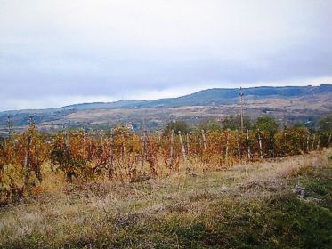 Румыния место гибели Александра Никоноровича