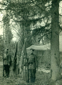 1943 год, Волховский фронт (II ф), знамёна 1258 сп 378 сд