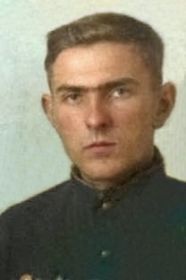Никитин Владимир Дмитриевич