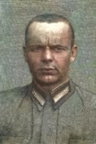 Степаненко Николай Данилович