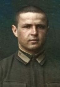 Сергиенко Александр Михайлович