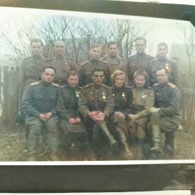 295 стрелковая дивизия