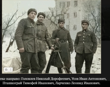 однополчане