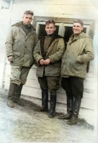 1950 год