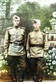 1946 год