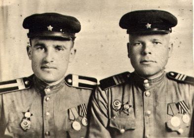 Боевые товарищи