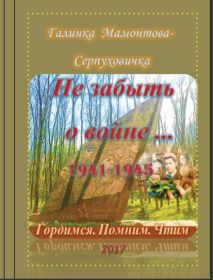 В книгу вошли стихи и рассказы о "героях былых времен" из числа земляков и родственников мамы,  статья "Моя семья - моя Победа",  посвященная шествию "Бессмертного полка" по Красной площади в 2016 году (с верными названиями статьи, автора и солдата полка)