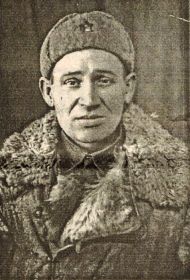 Маликов Николай Павлович