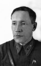 Лесников Владимир Дмитриевич