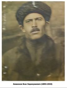 Амшоков Блю Заракушевич