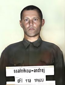 Сальников Андрей Иванович