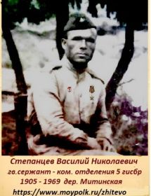Степанцев Василий Николаевич