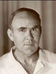 Мясникевич Леонид Васильевич