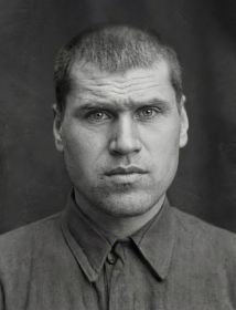 Мутовин Дмитрий Илларионович