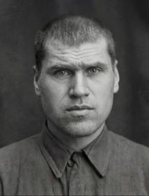 Мутовин Дмитрий Илларионович