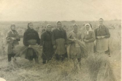 Жена Евдокия (справа третья) на сельхозработах