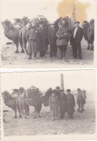 Экспедиция пребыла к месту.После длительного перехода 08.11.1954