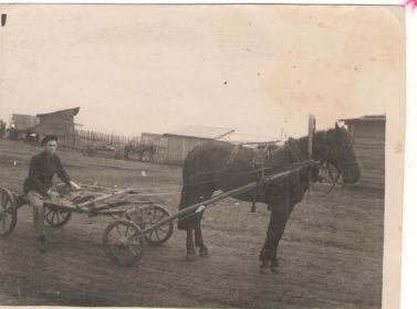 Мурашов Александр Игнатьевич. 1949 год.