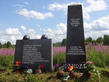 д.Гайтолово