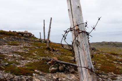 Остатки проволчного заграждения на п-ве Рыбачий