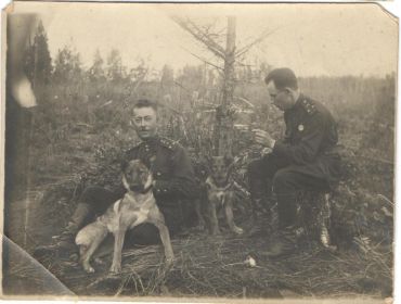 Любимая собака(всегда в доме были умные овчарки)