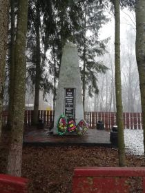 Памятник погибшим воинам на родине