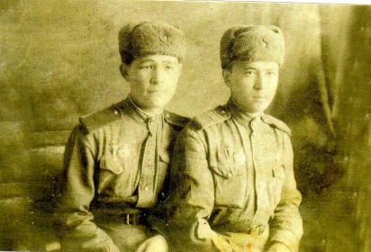 С боевым товарищем