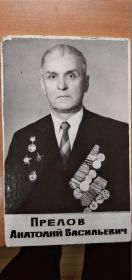 Прелов Анатолий Васильевич
