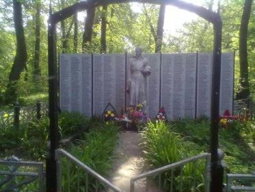 Памятник погибшим воинам 116-й отдельной морской бригады тихоокеанского флота. Село Полтево Тульская область.