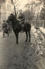 В столице Австрии г. Вене