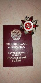 Орден Отечественной войны II степени.