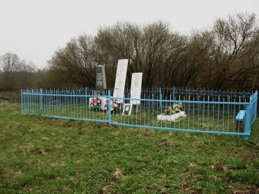 Россия. Новгородская область, Маревский р-н, с. Велилы. Братская могила.