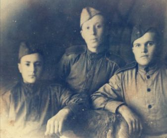 Боевые товарищи